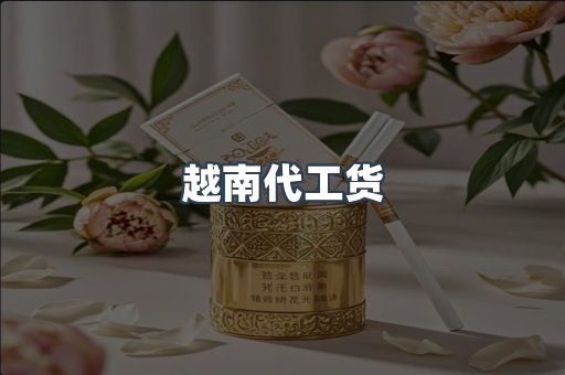 越南代工货